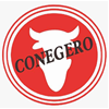 CASA DE CARNES CONEGERO            